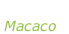 “Moving” Macaco