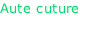 Aute cuture Rosalía