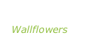 “Bringing down  the horse” Wallflowers