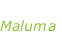 “Hawai” Maluma