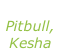 “Timber” Pitbull, Kesha