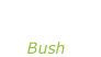 “Razorblade suitcase” Bush
